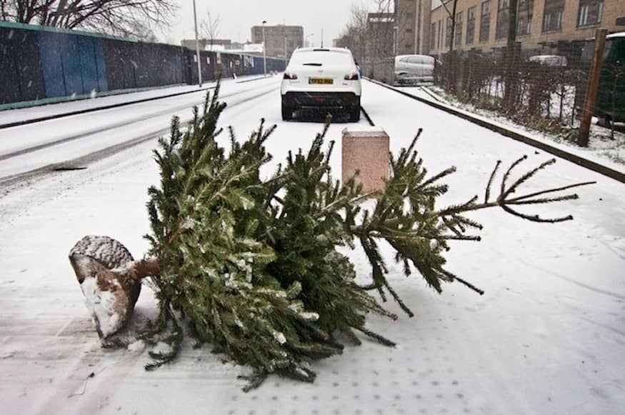 Here's How To Dispose Of A Christmas Tree London!